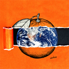 Orange"